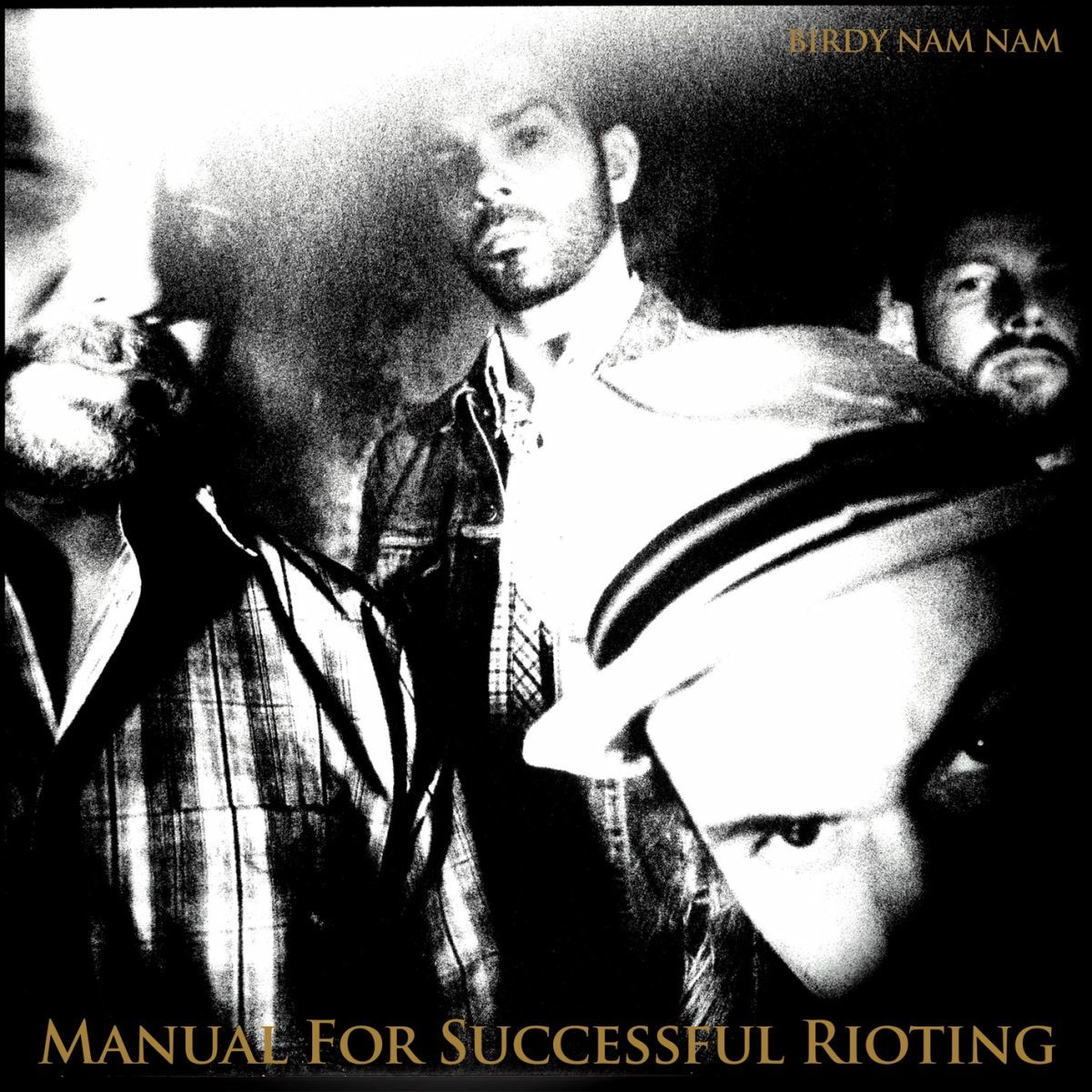 Pochette de Manual For Successful Rioting
