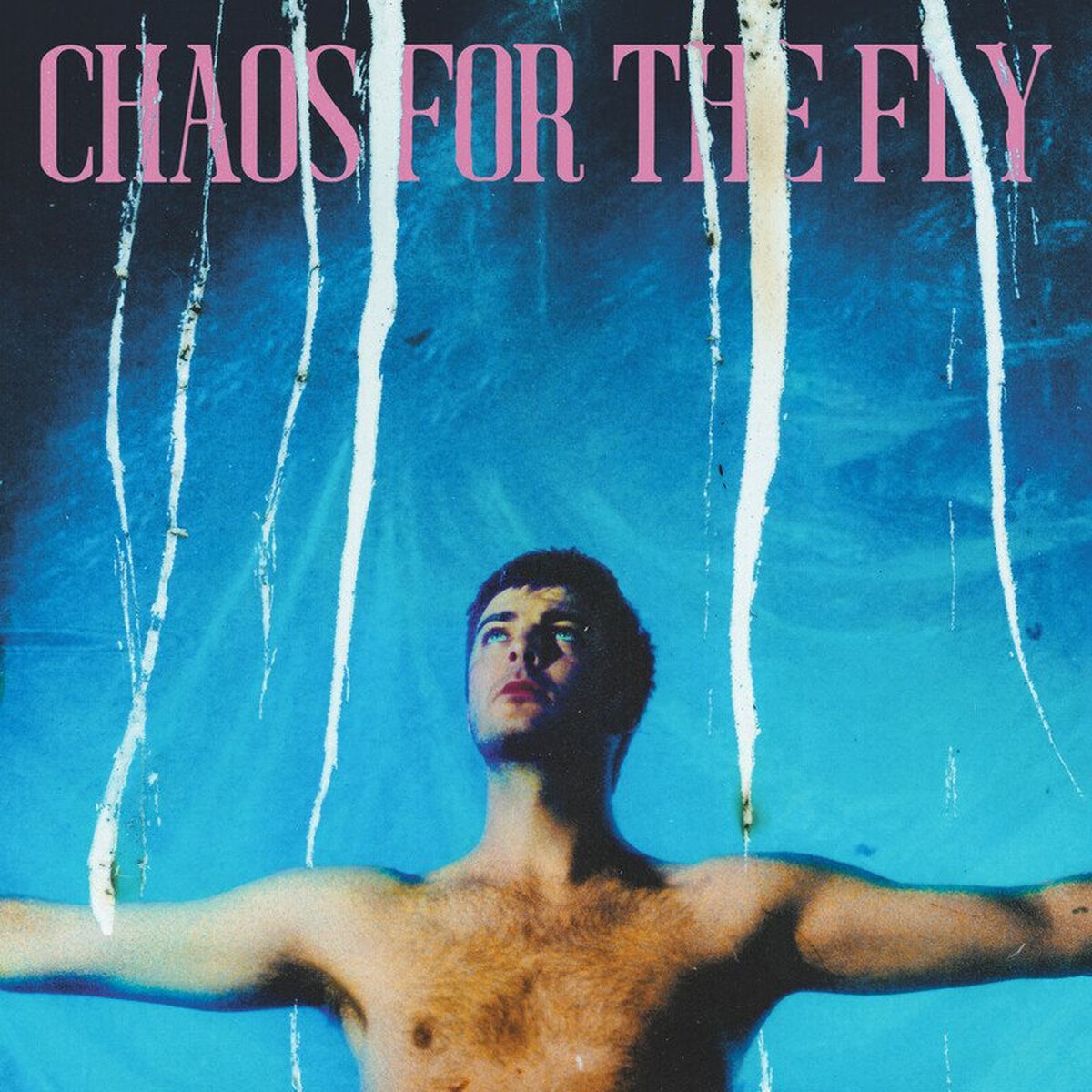 Pochette de Chaos for the Fly