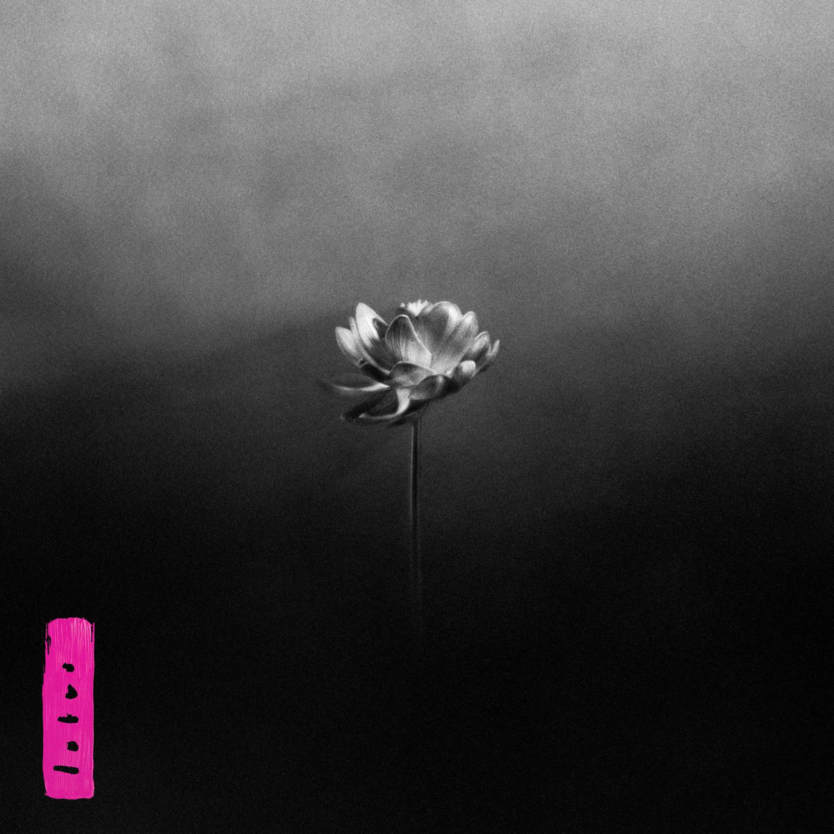 Pochette de Lotus