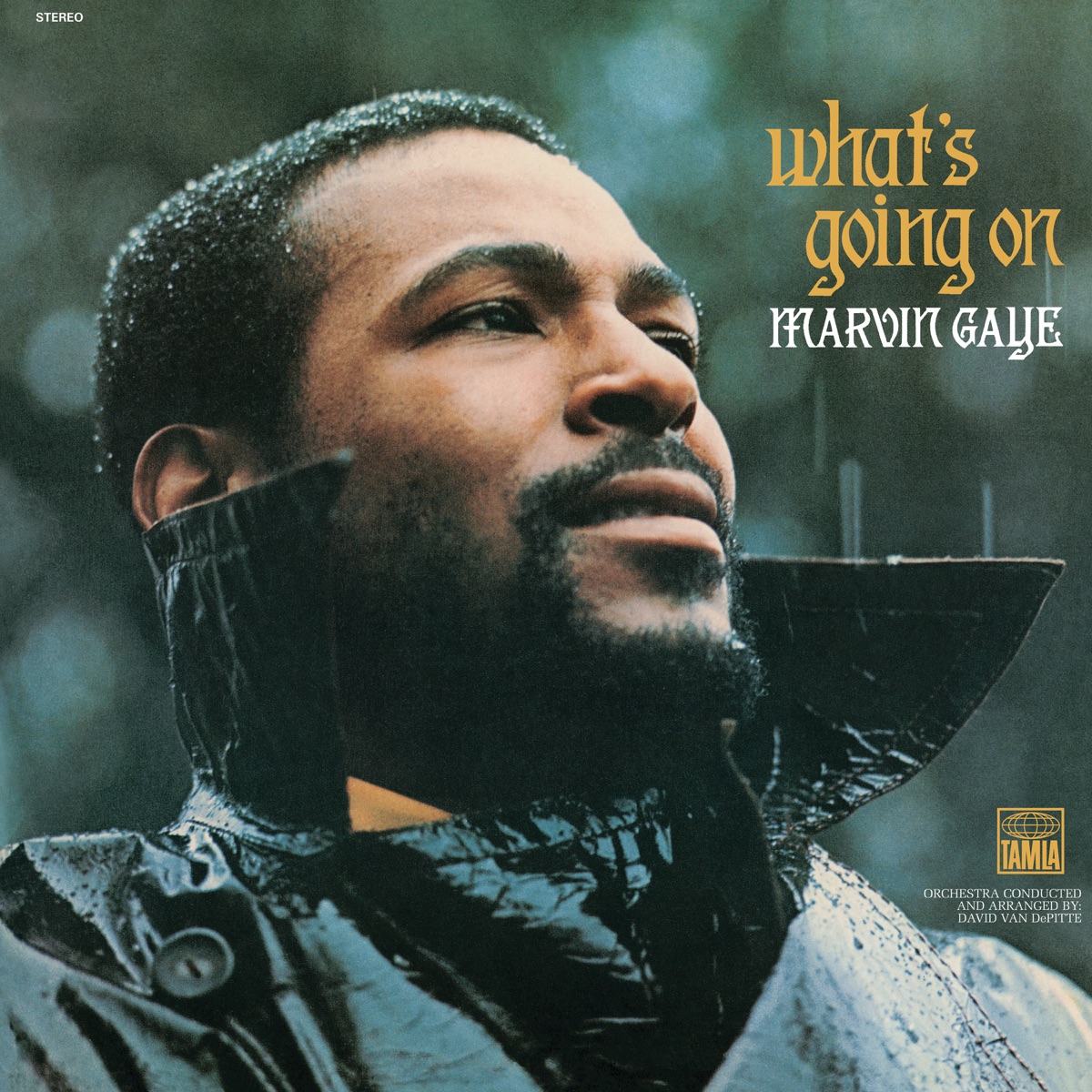 Pochette de What's Going On